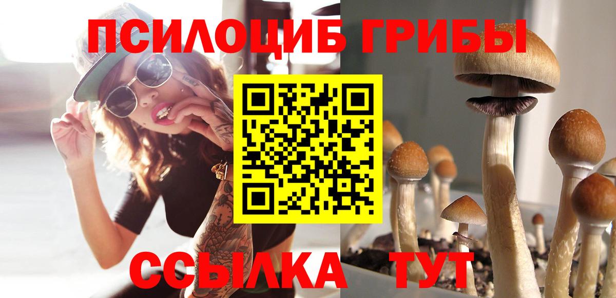 Верхняя Пышма  Псилоцибиновые грибы ЛСД  Вход с VPN 
